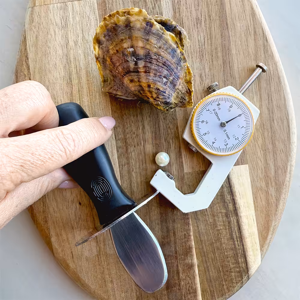 TP PAP Pearl-Gauge Knife Shell OnBoard