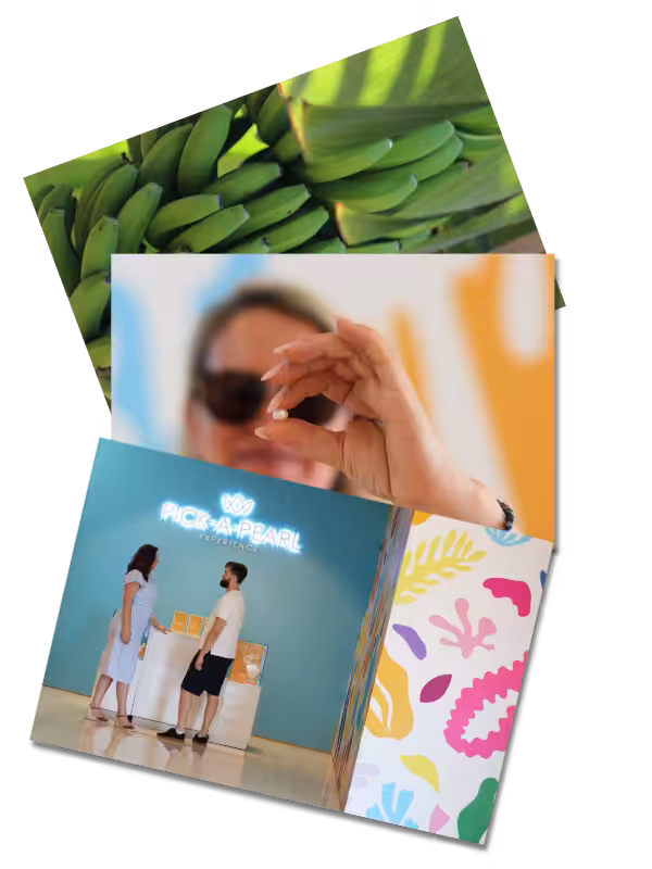 3 fotos de la experiencia Pick-A-Pearl en Armeñime<br>