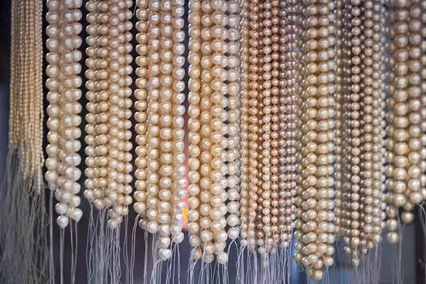 Strings of pearls hanging down