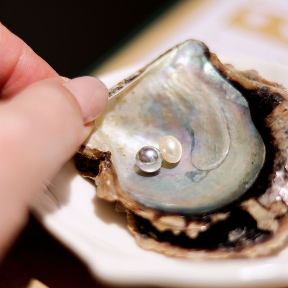 pearls in oyster shell
